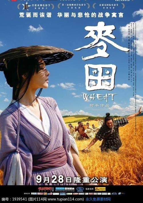 天理大学计算机科学文凭证书